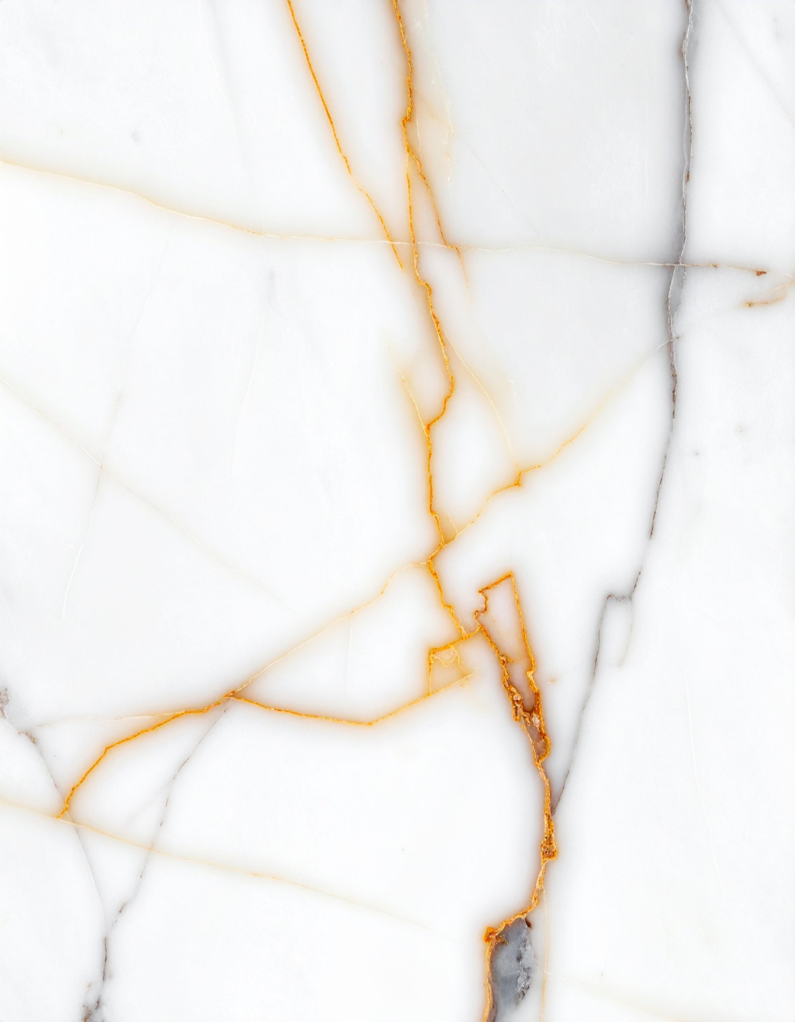 Makrana White Marble Mansion